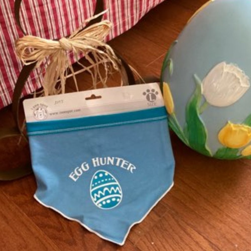 I See Spot Easter Pet Bandana